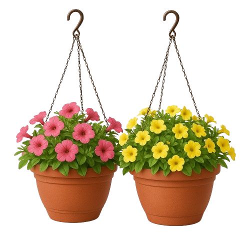 Hanging Plant Baskets