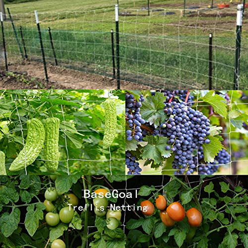 Weather Netting BaseGoal 5'x15' All-Weather Trellis Netting, Flexible String Net – Epic ...