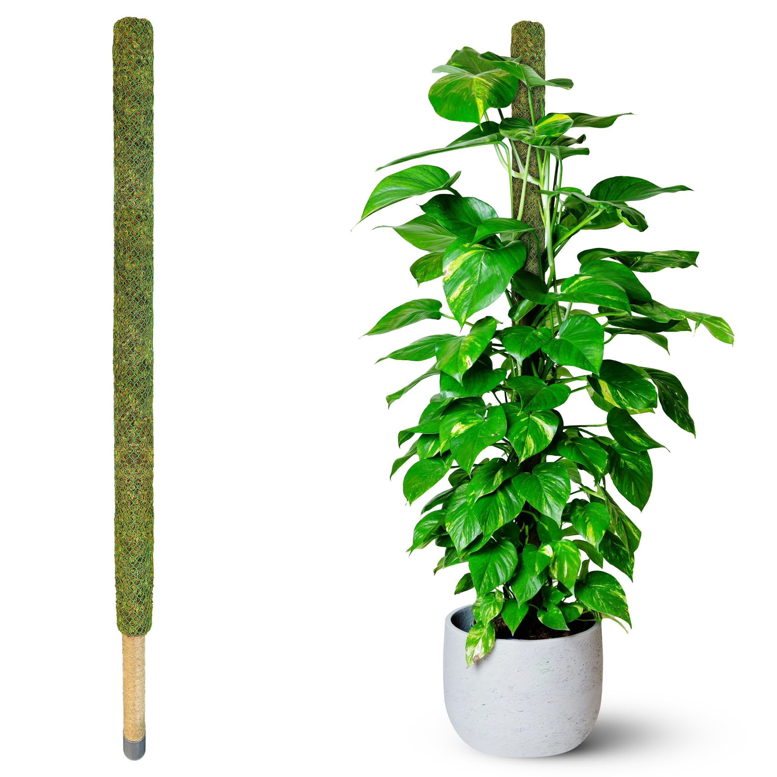 moss pole stake Duspro 59'' Green Moss Pole Plant Stake, Moisture Stick for Plants – Epic Agriculture
